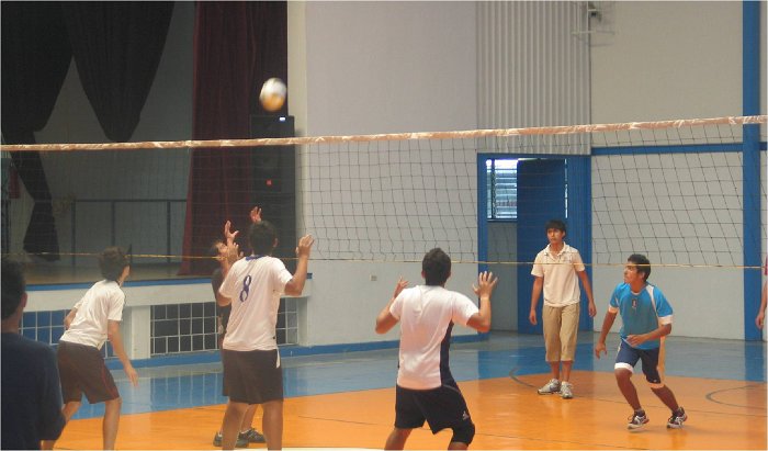 voleibol